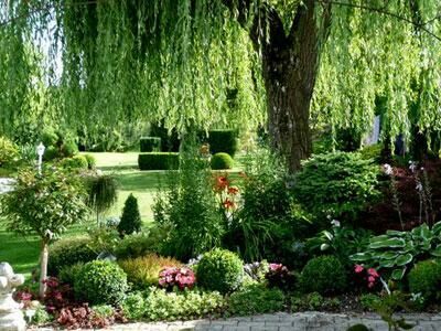 Jardin du presbytère.jpg Jardin du presbytère