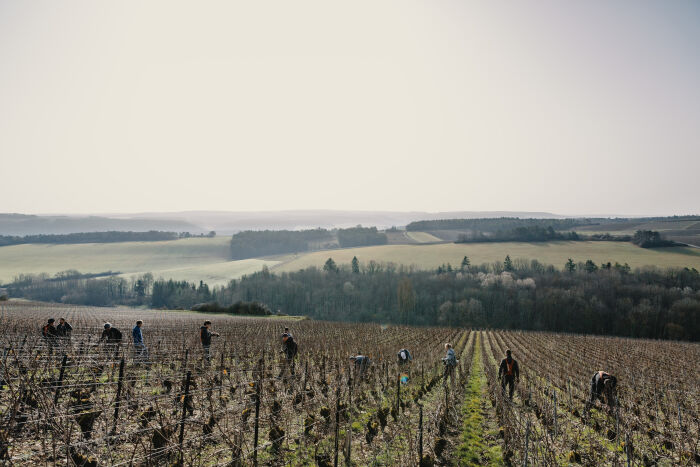 Domaine Alexandre Bonnet.jpg Domaine Alexandre Bonnet