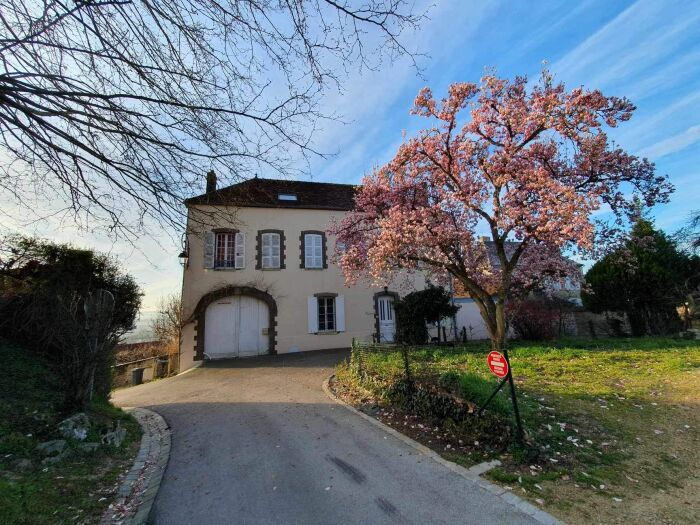 Les Vignes Dieu ©Beatrice Charpiot