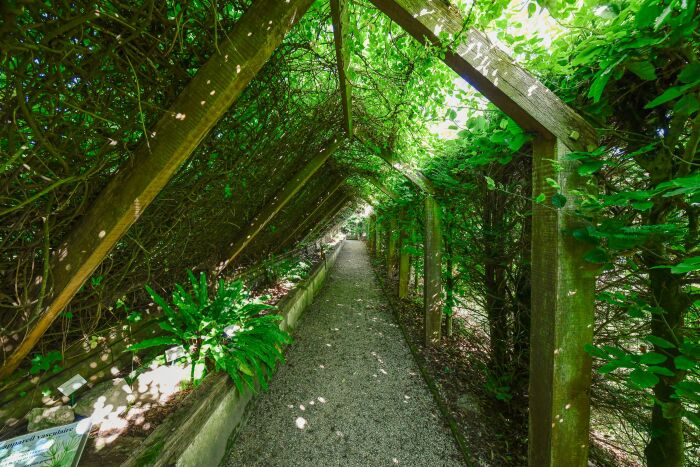 Jardin botanique © Olivier Douard (6).jpg Olivier Douard