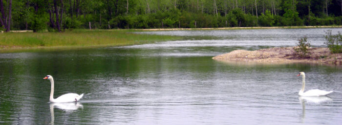 etang_du_passage_top_02.jpg Le Passage