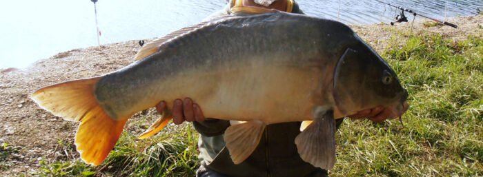 etang_du_passage_top_04.jpg Le Passage