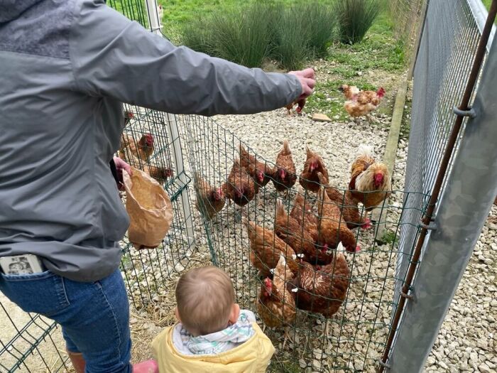 Ferme de la marque (4).jpg OT Grands Lacs de Champagne - S. Chaillot