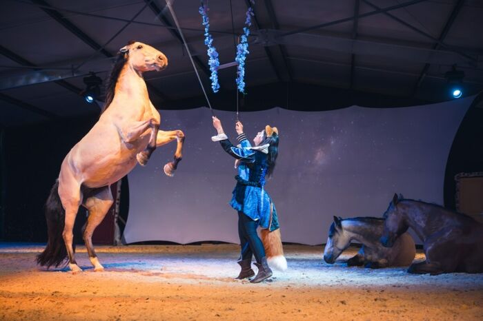 Spectacle équestre Radonvilliers Théâtre équestre de Champagne 4.jpg Le Bonheur des Gens