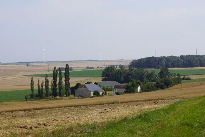 35.jpg © G. ADNOT