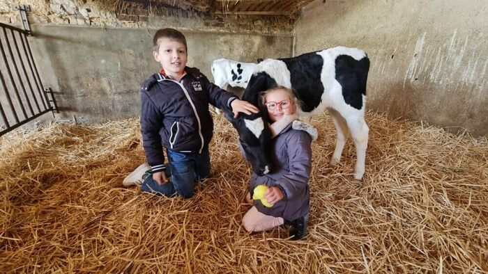 Ferme de la marque (1) (1).jpg Ferme de la Marque