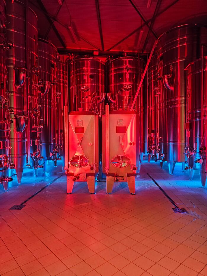 cuverie color.jpg Champagne Walczak Pascal