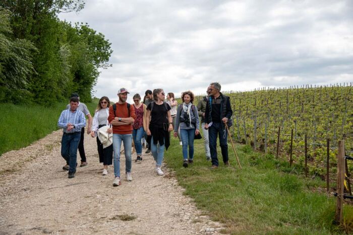 Champagne Binon-Coquard.jpg Champagne Binon-Coquard
