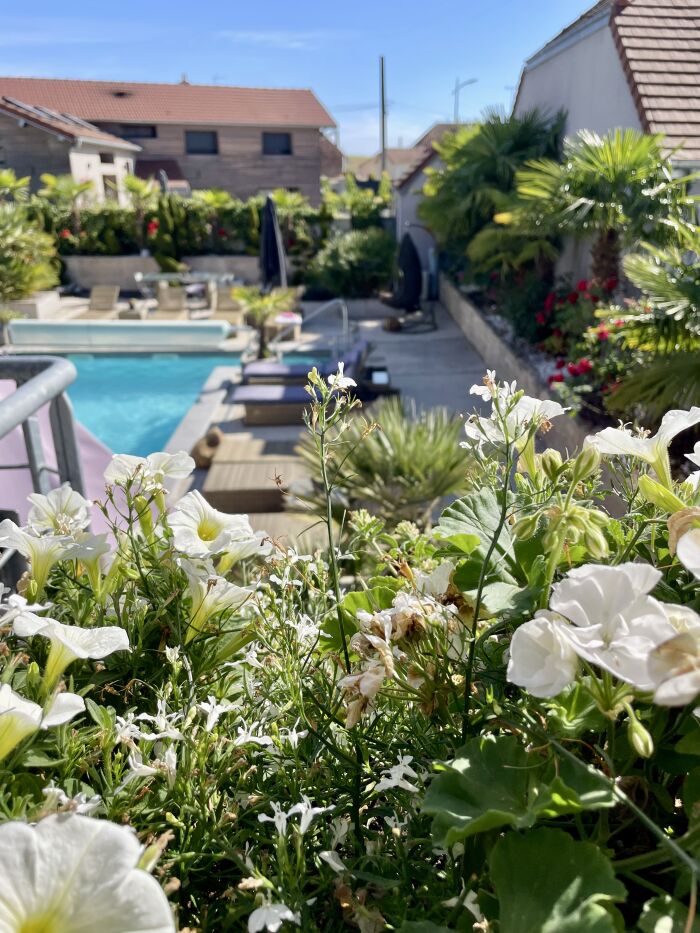 la vue depuis la terrasse © Anne-Lise Royer