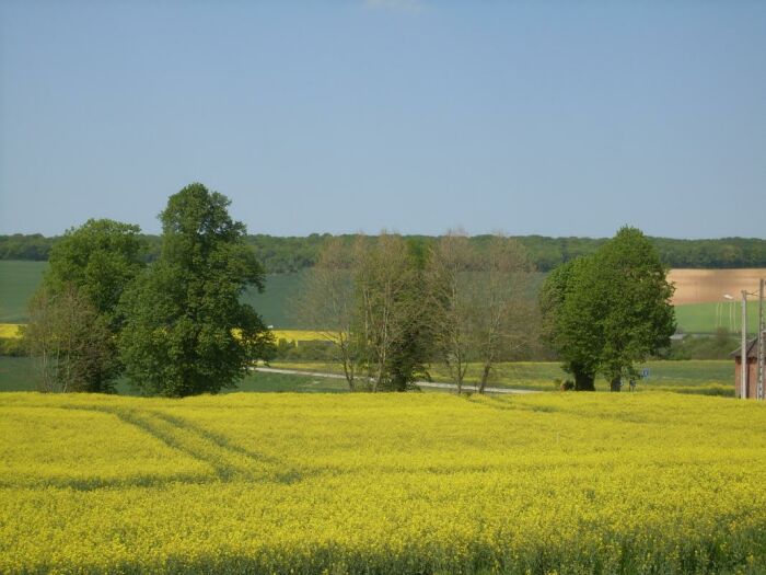 La Ferme des Chartreux ©Gîtes de France Aube