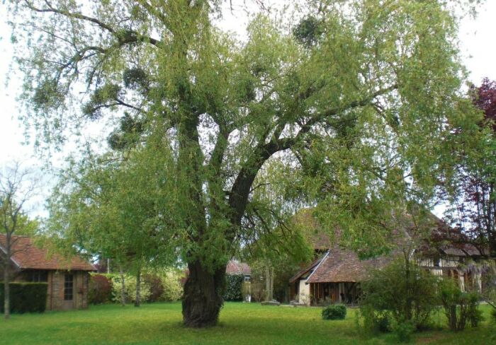 Au Clos de Marie ©Gîtes de France Aube