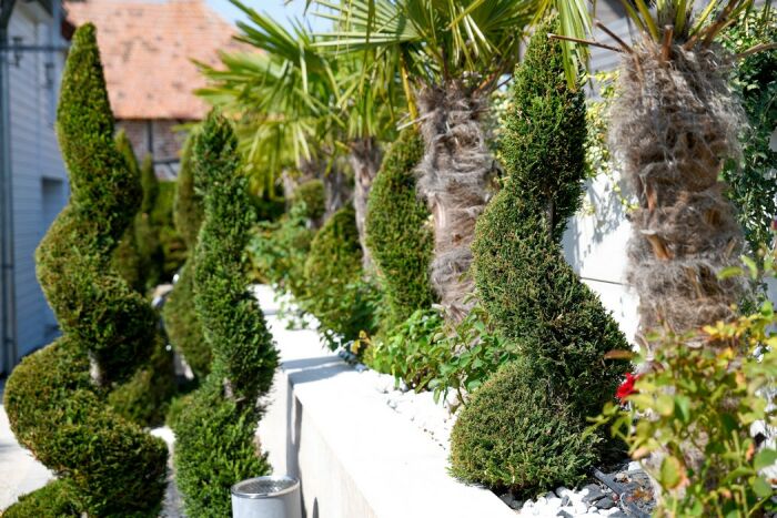 photo-10 - ©Olivier Douard.jpg ©Olivier Douard