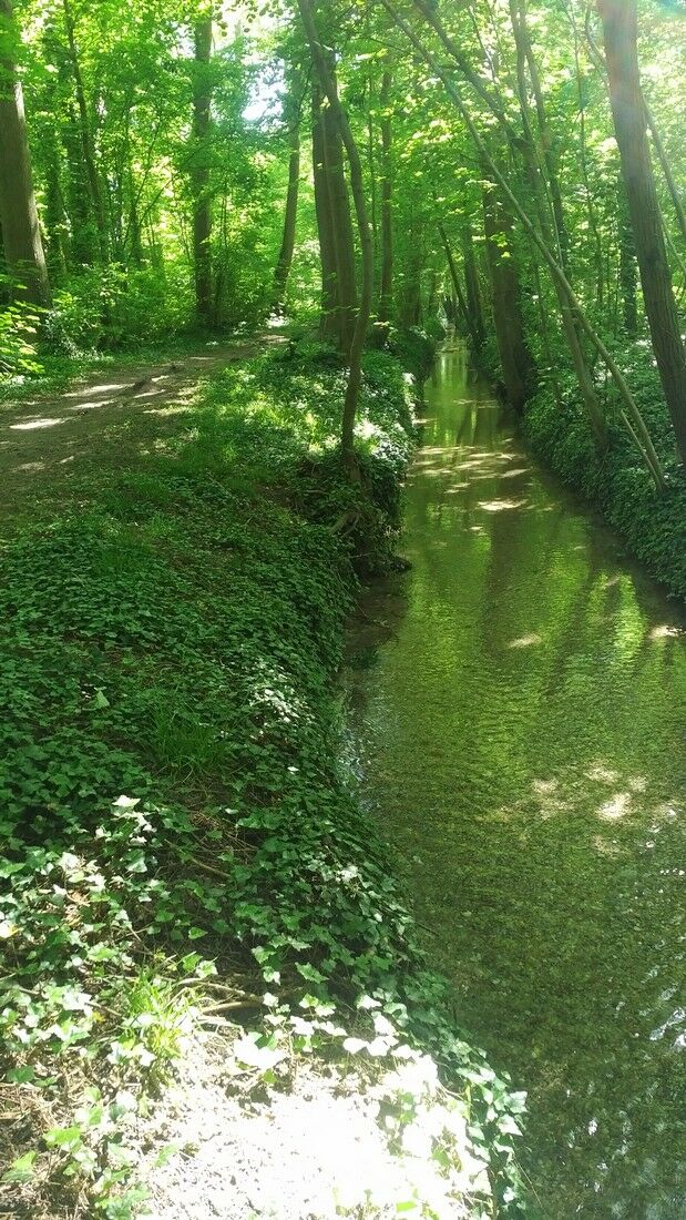 Bois de la fontaine Saint-Martin © Ville de Saint André les Vergers .jpg © Ville de Saint André les Vergers