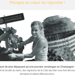 Communiqué de presse – Sept 2016 – Devenez vendangeur d&rsquo;un jour