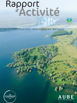 CDT - Rapport Activité 2018_Page_01