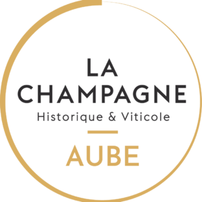 Mise en concurrence site internet Aube en Champagne