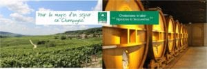 Label Vignobles & Découvertes Label Vignobles & Découvertes