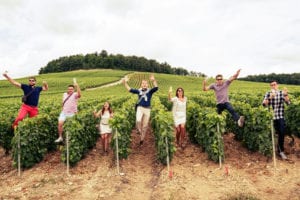 Vendangeur d'un jour - Champagne Beerens INSERT ALT