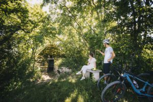 Promenade VTT dans la forêt