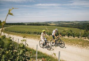 VTT dans le vignoble de Champagne