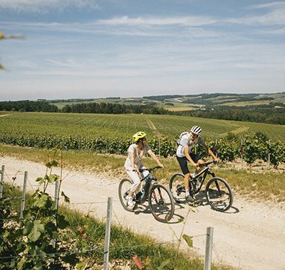 VTT dans le vignoble de Champagne
