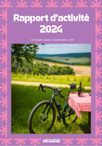 Rapport d'Activité 2024